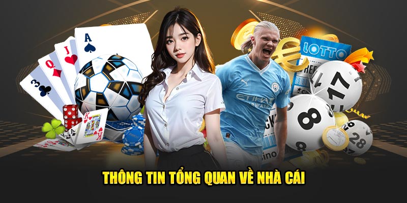 Thông tin tổng quan về nhà cái