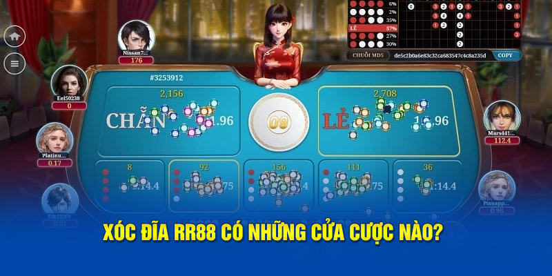 Xóc đĩa RR88 có những cửa cược nào?